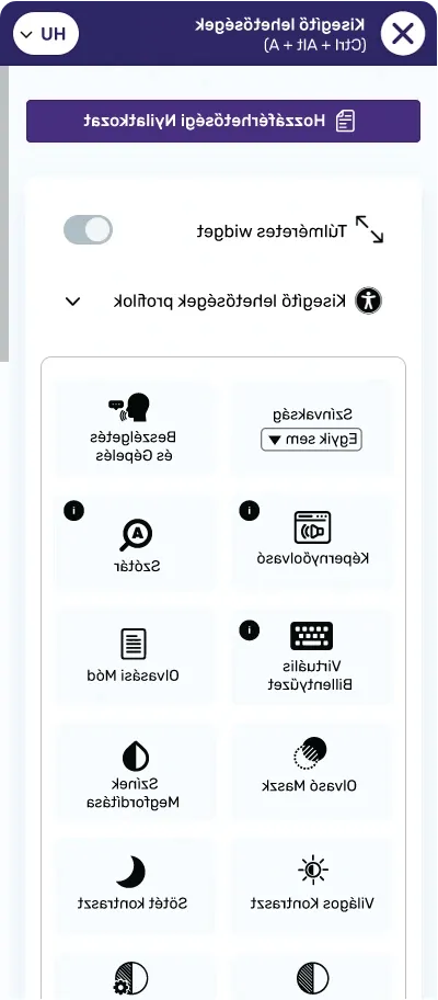 hungarian website accessibility widget