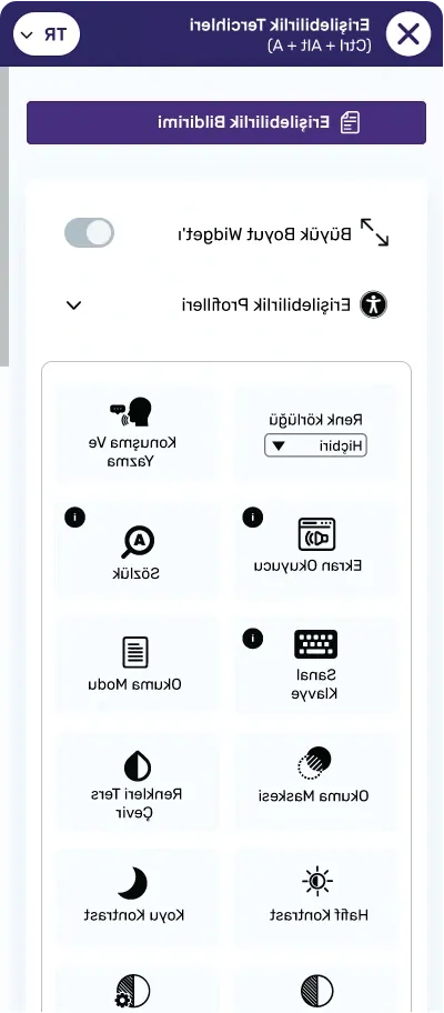 turkish website accessibility widget